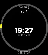 FastWasp — active fast in progress
